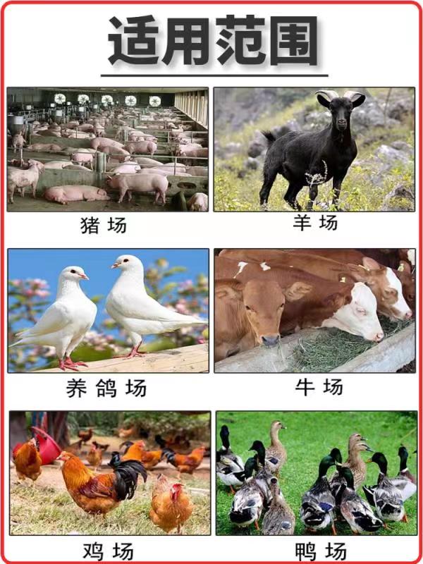 微信圖片_20230731083457_1.jpg